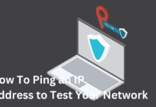 How to ping an IP address